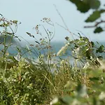 Ferienbauernhof Liesenberg Meerblickhaus Strandmuschel Tatil Evi Fehmarn