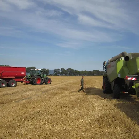 Prázdninový dům Ferienbauernhof Liesenberg Meerblickhaus Strandmuschel