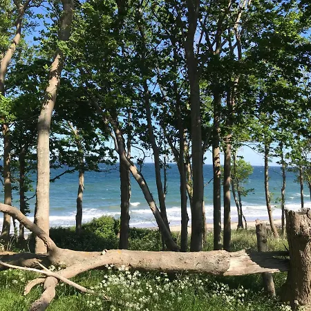 Ferienbauernhof Liesenberg Meerblickhaus Strandmuschel
