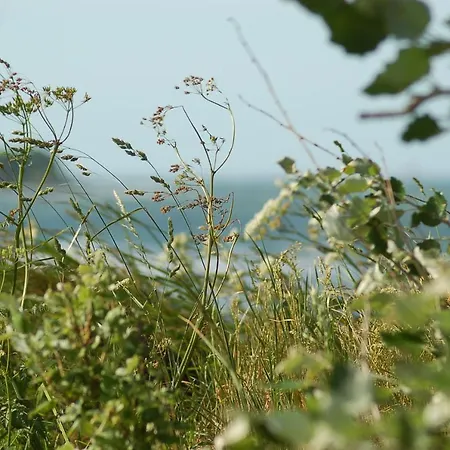 Ferienbauernhof Liesenberg Meerblickhaus Strandmuschel Prázdninový dům Fehmarn