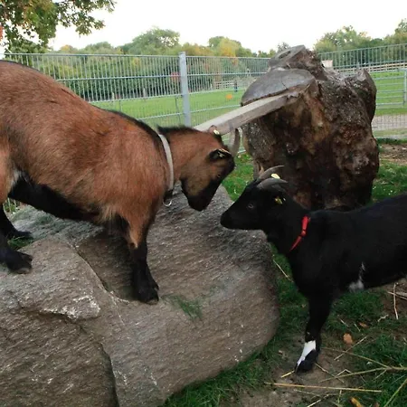 Ferienbauernhof Liesenberg Meerblickhaus Strandmuschel Prázdninový dům Fehmarn