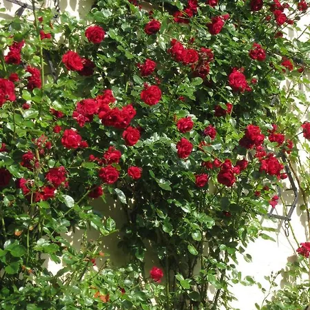 Prázdninový dům Ferienbauernhof Liesenberg Meerblickhaus Strandmuschel Fehmarn