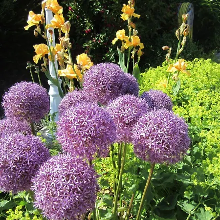Ferienbauernhof Liesenberg Meerblickhaus Strandmuschel *