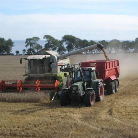 Ferienbauernhof Liesenberg Meerblickhaus Strandmuschel *